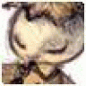 Rymarevhoize